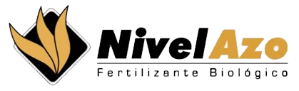 nivelazo iso