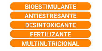 POLIPLUS BIOESTIMULANTE 4