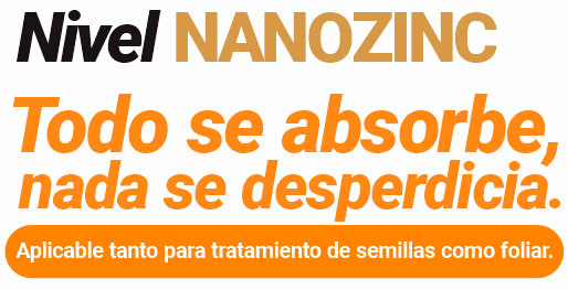 nanozinc2